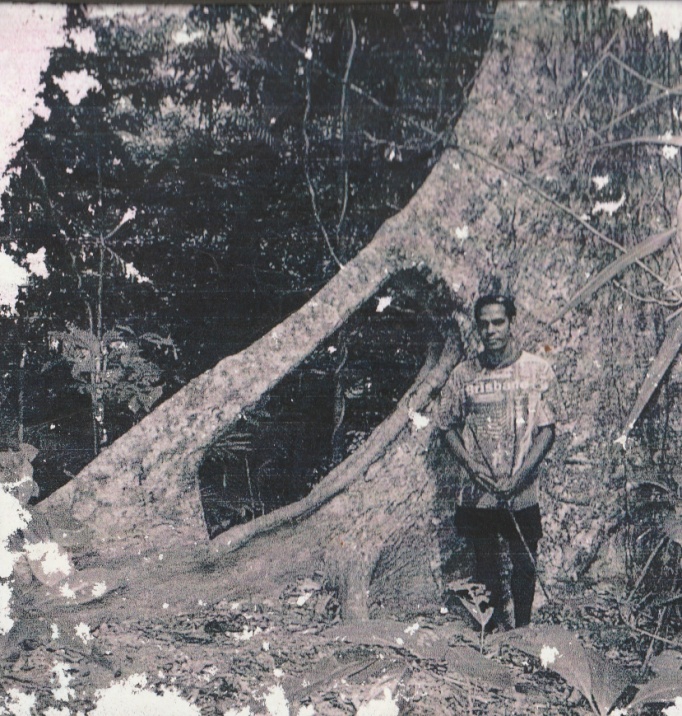 image015