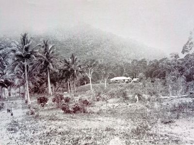 banfield s bungalow on dunk island  banfield  e. last leaves from dunk island