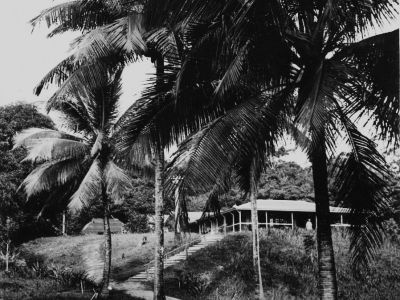 banfield s cottage on dunk island cc libraries