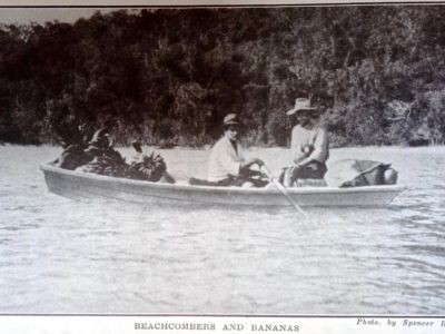 beachcombers   bananas last leaves from dunk island   p.36