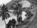 bingil bay  c.1940s cc libraries