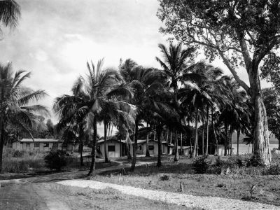 chalets at dunk island state library of qld