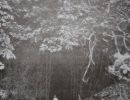 confessions of beachcomber falling star cave  exterior  p.271