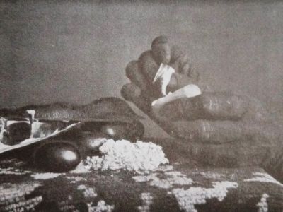 confessions of beachcomber shell plane in use p.261