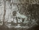 confessions of beachcomber yam digger p.283