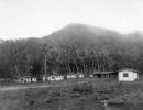 dunk island before world war ii cc libraries