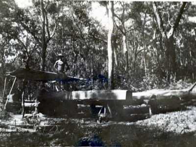 ernie morris at sawmill  dunk island courtesy morris family
