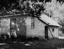 first home of e.banfield  dunk island cc libraries