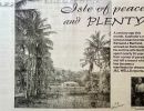 isle of peace and plenty jill wells 