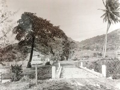 new bridge  bingil bay  state library of qld