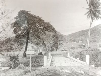 new bridge  bingil bay  state library of qld6