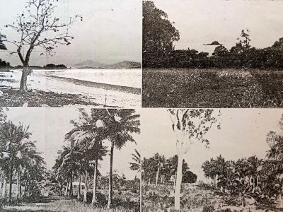 on dunk island  details middle 