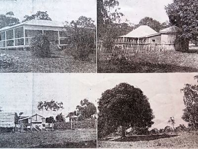 on dunk island  details top 