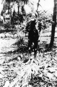 ruppert fenbys cc libraries