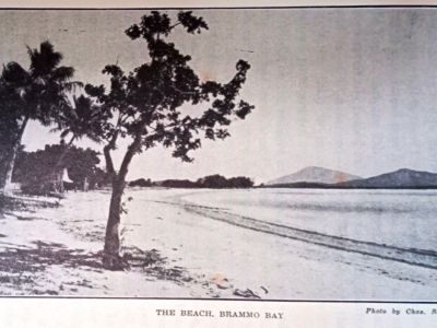 the beach  brammo bay last leaves from dunk island   p.132