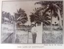 the gate of hospitality last leaves from dunk island   p.104