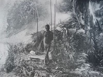 tropic days at home on the tropic strand   photo ishmael  frontispiece