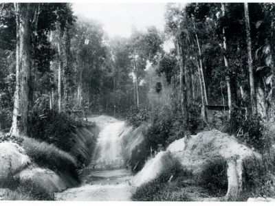 lacey s creek crossing  cc libraries