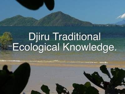 djiru traditional ecological knowledge