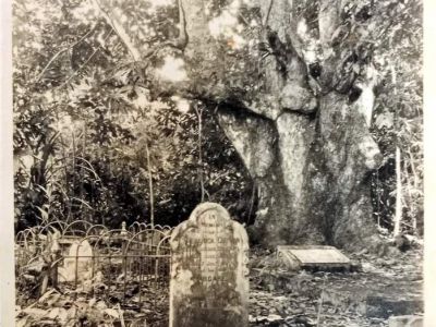 cutten graves cutten graves